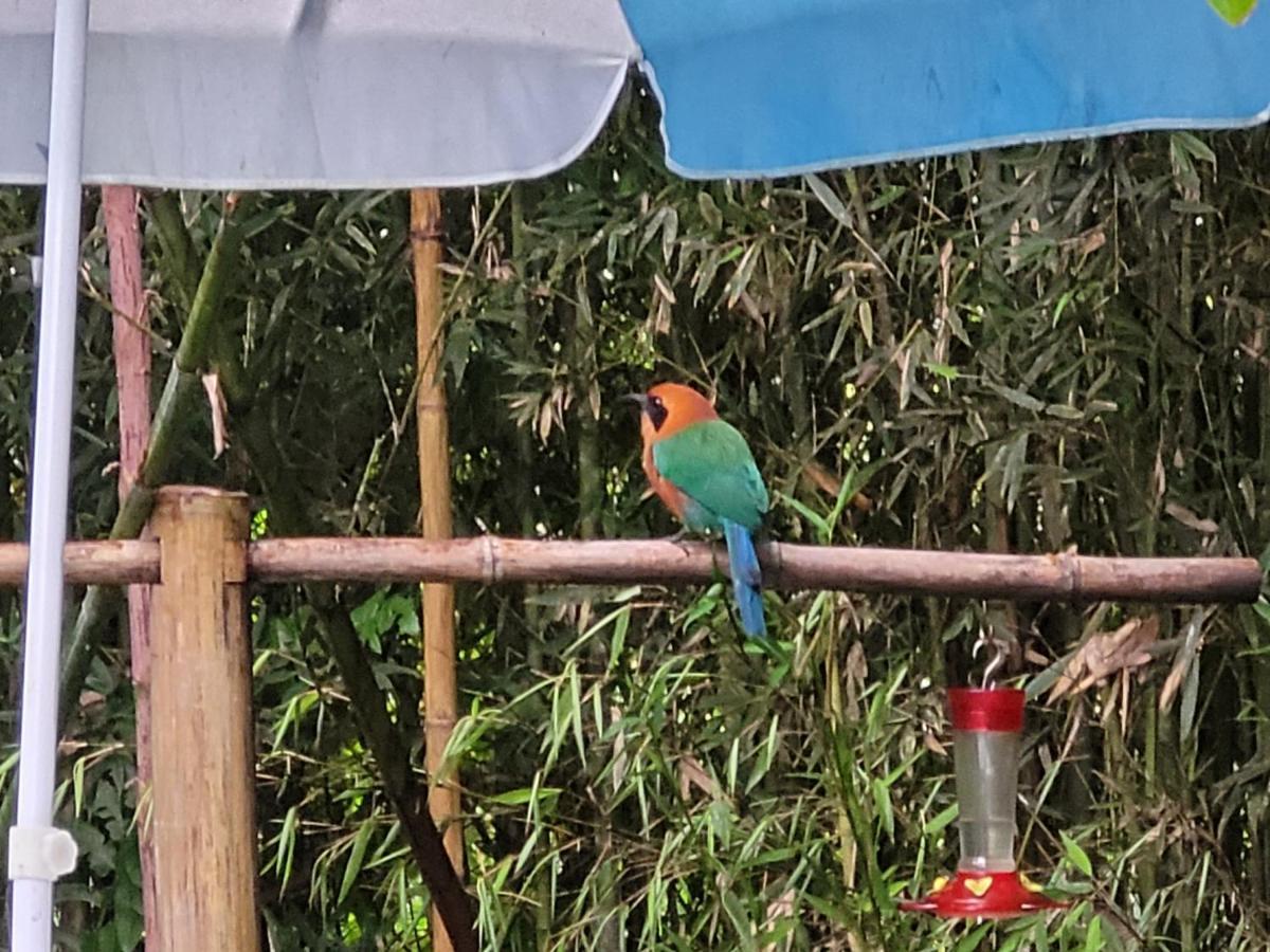 Mindo Glambird Glamping & Lodge Extérieur photo