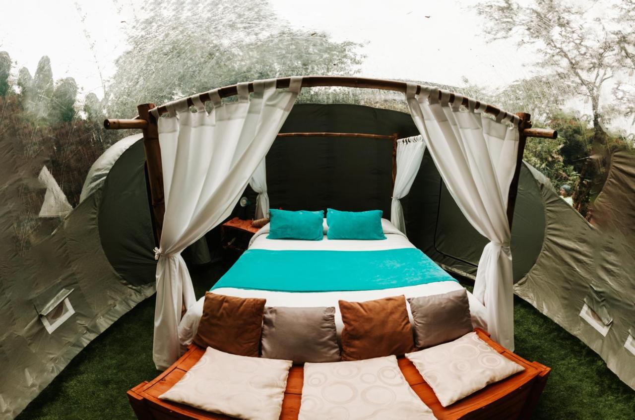 Mindo Glambird Glamping & Lodge Extérieur photo