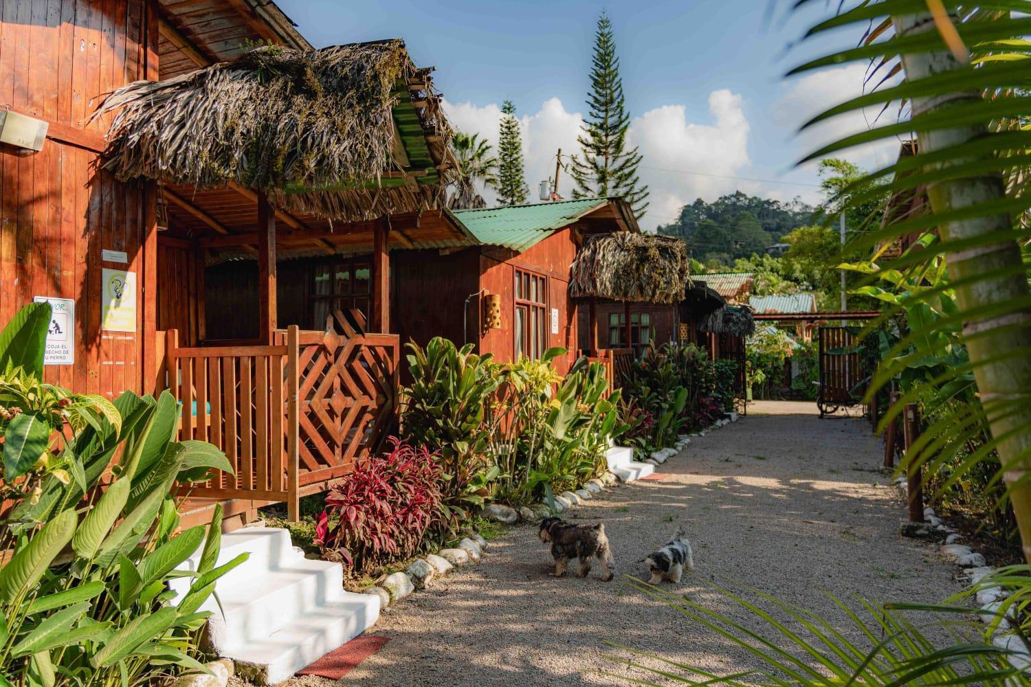 Mindo Glambird Glamping & Lodge Extérieur photo