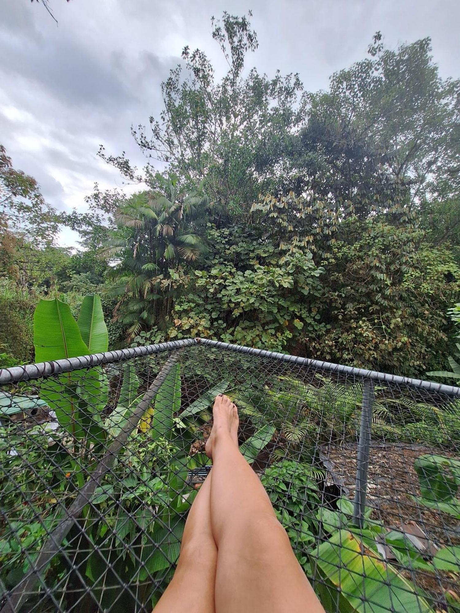 Mindo Glambird Glamping & Lodge Extérieur photo