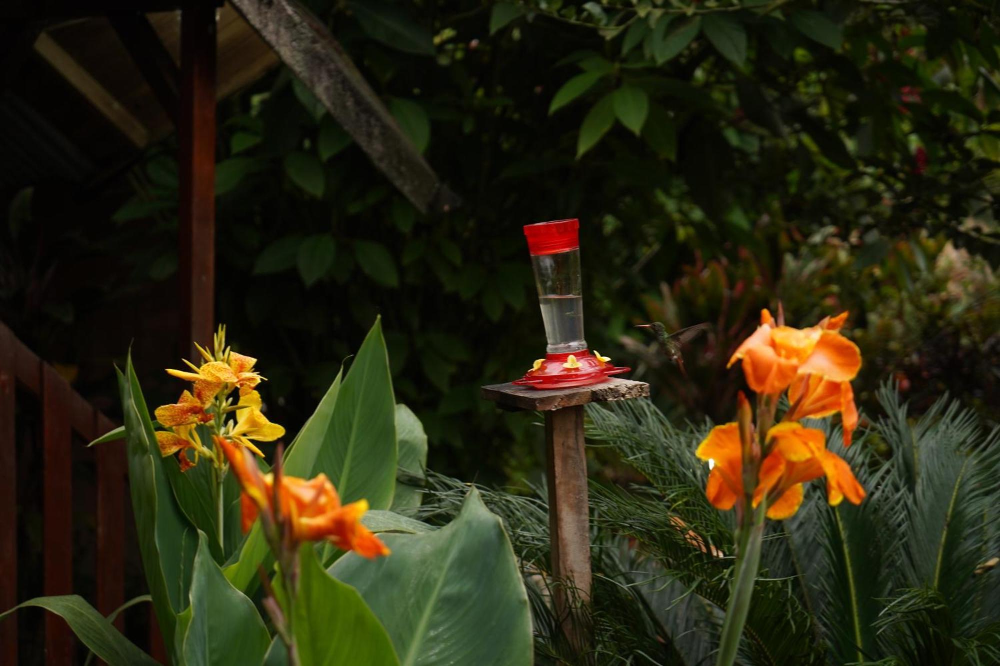 Mindo Glambird Glamping & Lodge Extérieur photo