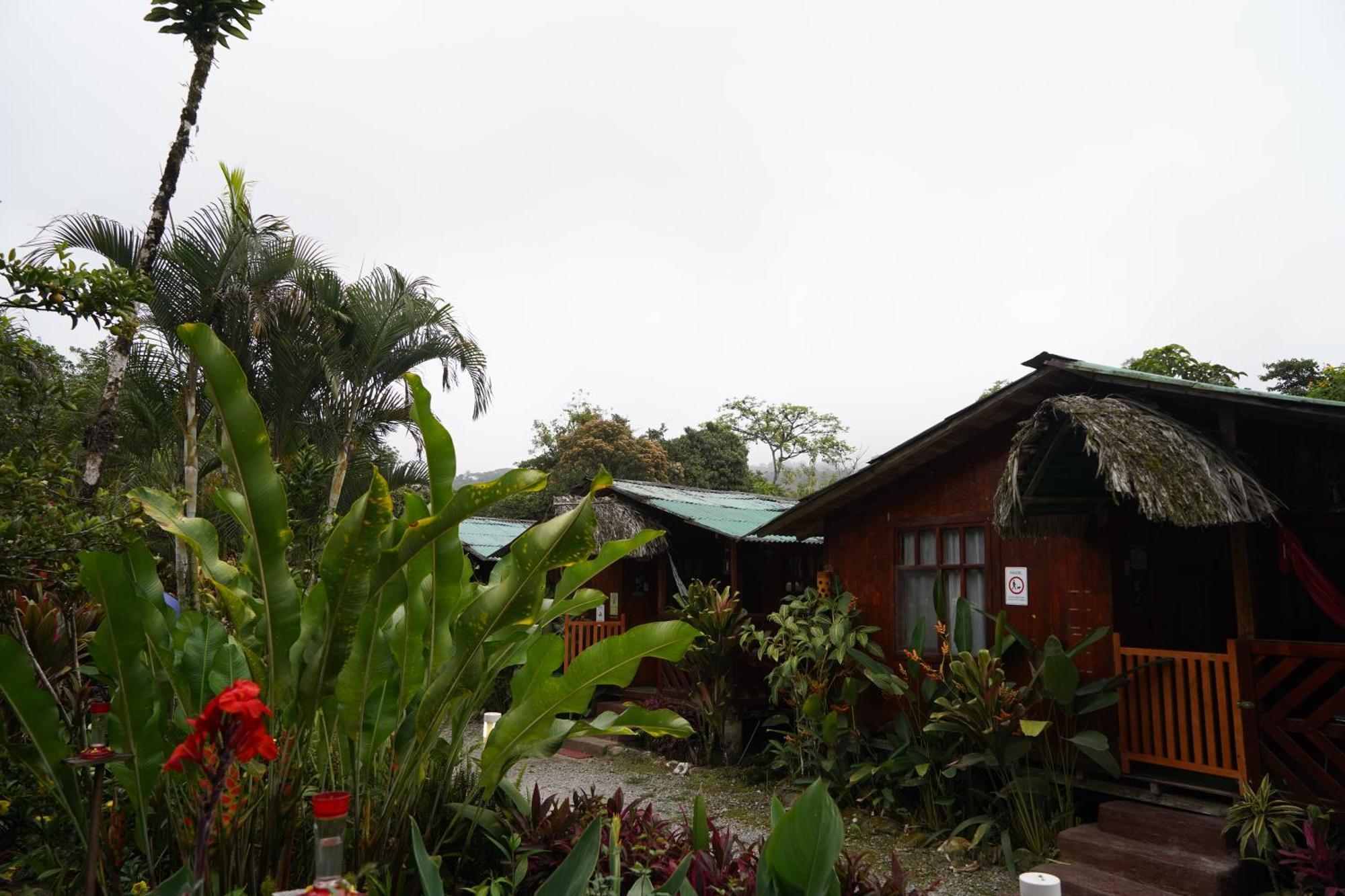 Mindo Glambird Glamping & Lodge Extérieur photo