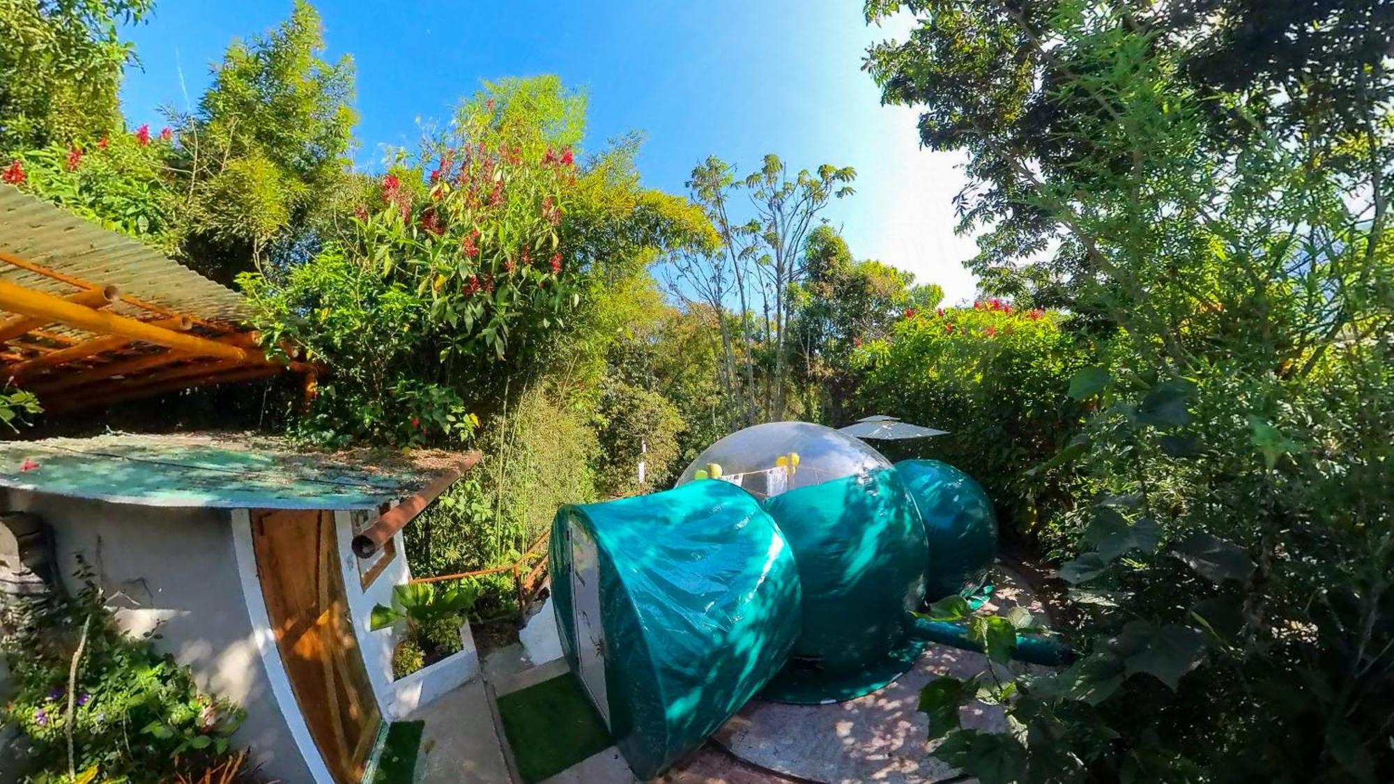 Mindo Glambird Glamping & Lodge Extérieur photo